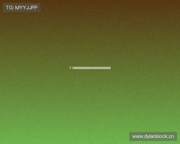 F1直播五星体育在线全程赛事精彩回放与实时更新尽在掌握